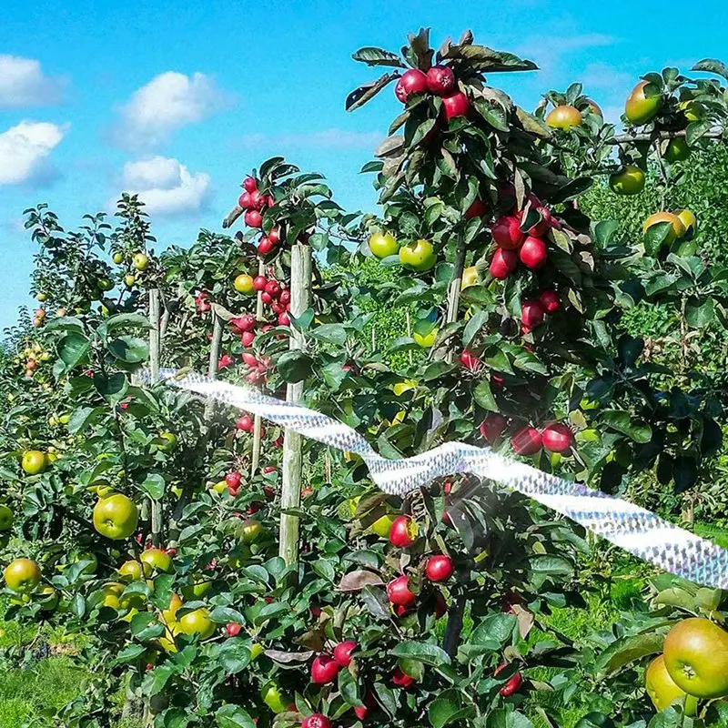 

2 Roll Bird Scare Tape Anti Bird Tape Dual-Sided Reflective Deterrent Scare Tape for Birds Pigeons Repeller Ribbon Tapes