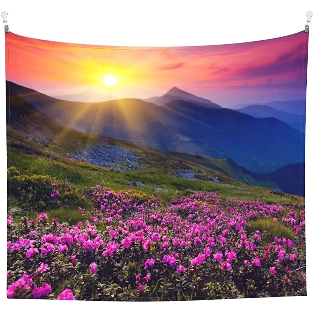 

Tapestry wall hanging for Bedroom aesthetic Sunshine flower grass Funny Living Room Dorm Home Decor Minimalist Wal