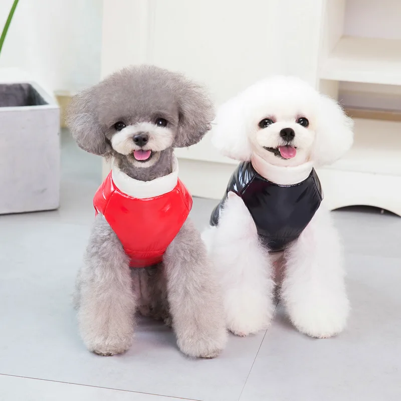

winter Pet zipper cotton clothe windproof and warm coat for dogs winter cat Teddy small dog pet Two-legged clothing dropshipping