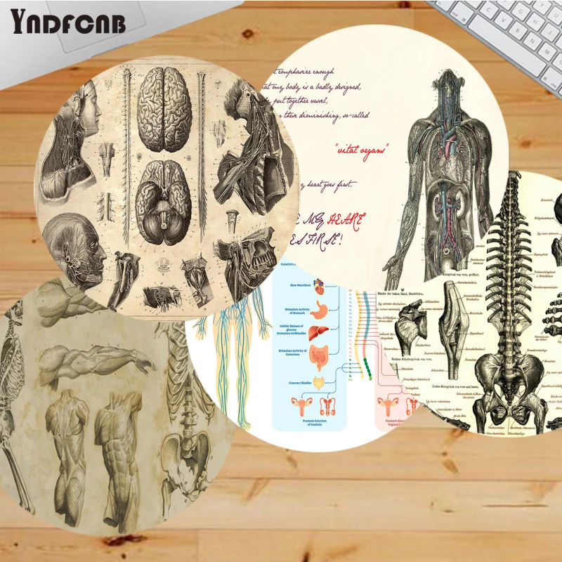 

Beautiful Anime medicine anatomy Customized laptop Gaming round mouse pad Anti-Slip Laptop PC Mice Pad Mat gaming Mousepad