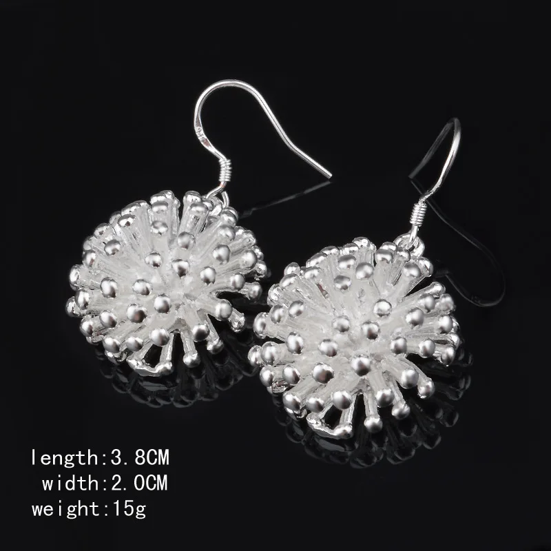 

2020 New 925 Sterling Silver Earrings Firework Earrings Women Jewelry Gifts