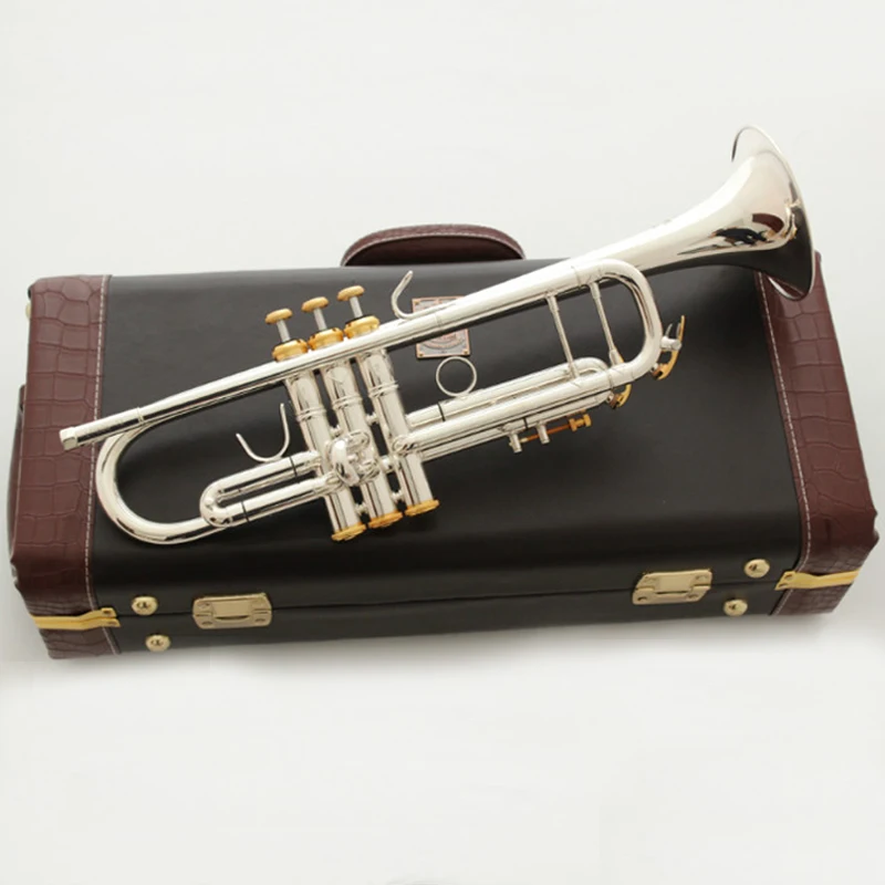 Музыкальный Профессиональный инструмент Fancier Club LT190GS 77 с серебряным покрытием