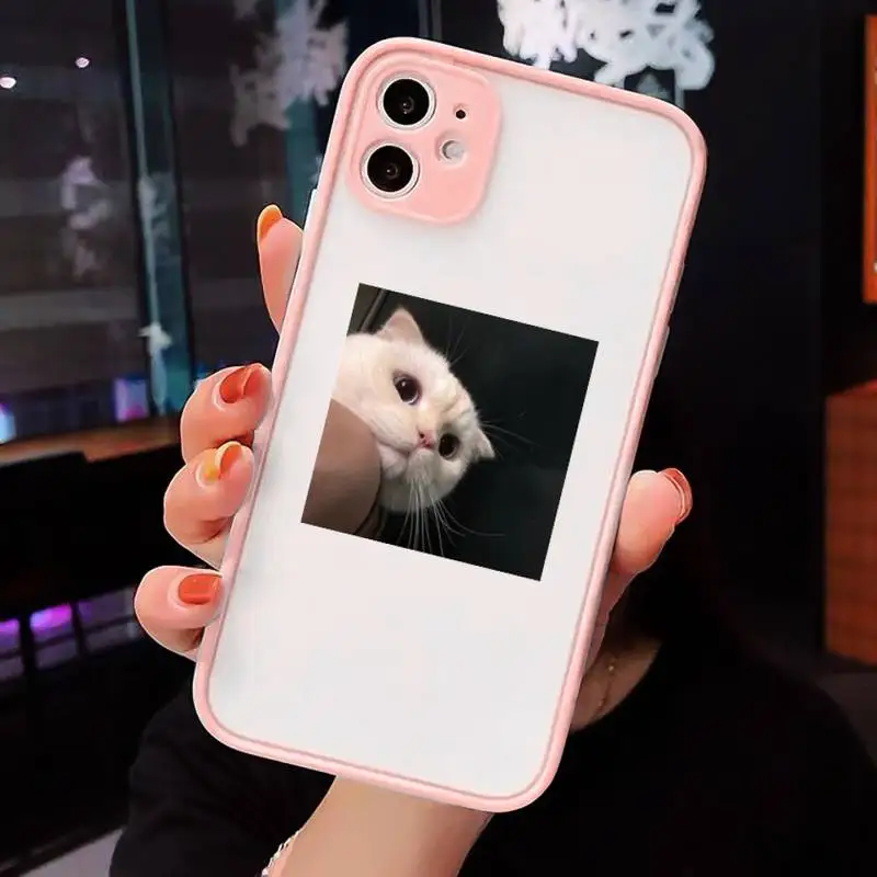 

Lovely animal cat Phone Case matte transparent For iphone 7 8 11 12 plus mini x xs xr pro max cover