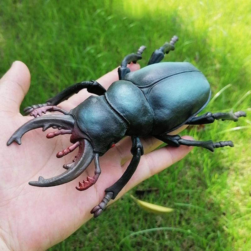 

Simulation Wildlife Model Ornaments Realistic Insect Figure Children Educational Props Scene Decoration Kids Learning