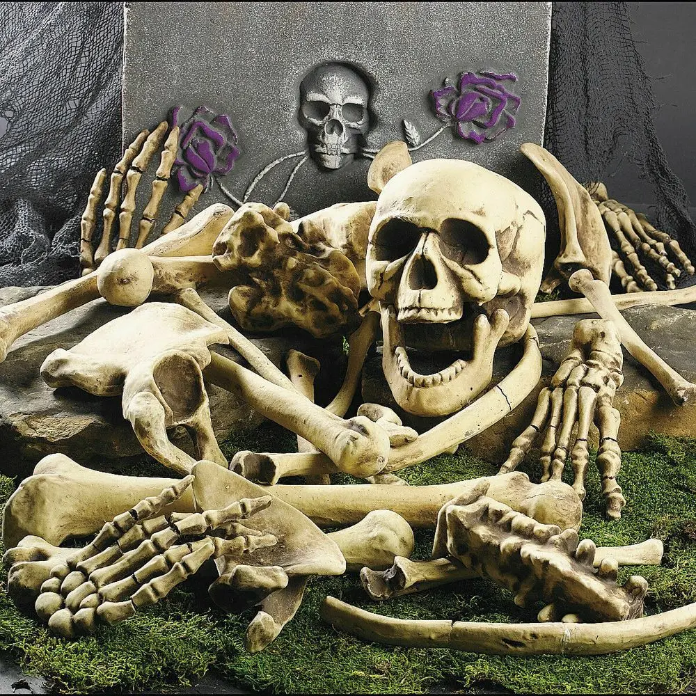 

Halloween Skeleton Bones Halloween Prop Skeleton Skull Haunted House Horror Prop Party Decorations 28 Pieces Eve Scary Halloween