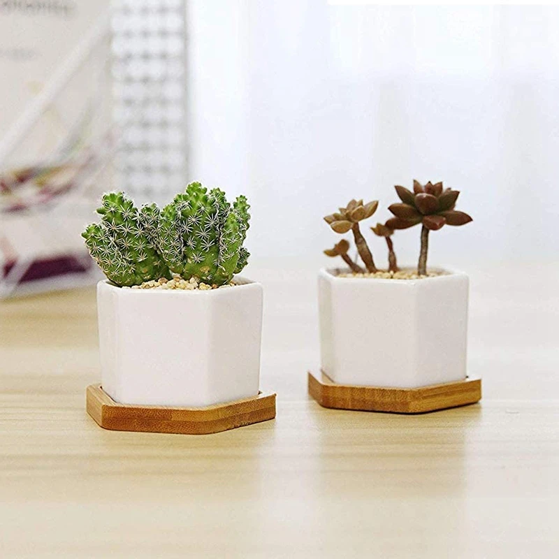 12 шт 2 63 дюймовый горшок для плантаторов бамбуковая тарелка шестигранный