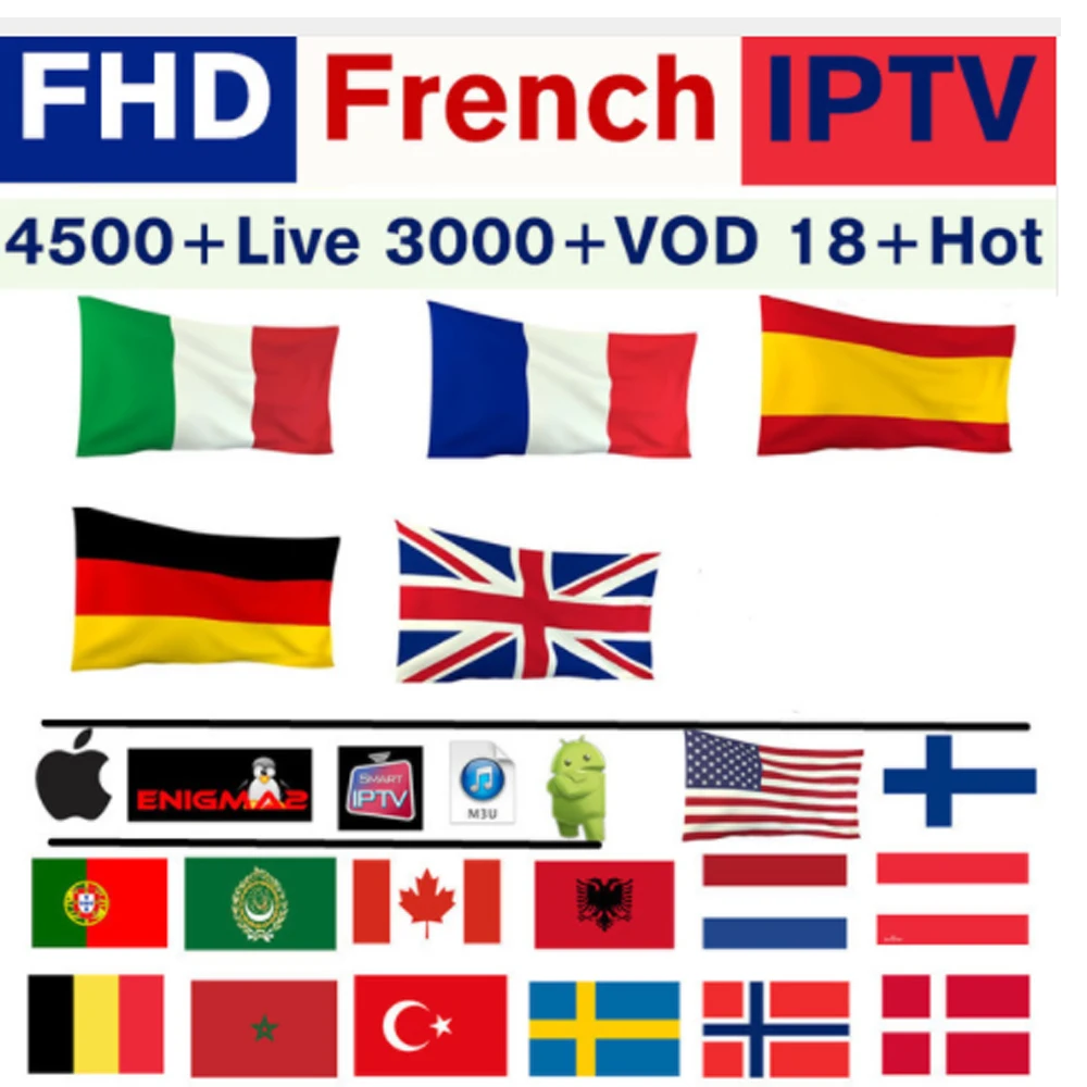 1 Year IPTV ONLY IFire IPTV подписка Европа Vigotv Франция Великобритания Немецкий Арабский Бельгия Швеция французский Польша Smart set top box IPTV M3U 4500+ Live - Цвет: 1 Year IPTV ONLY