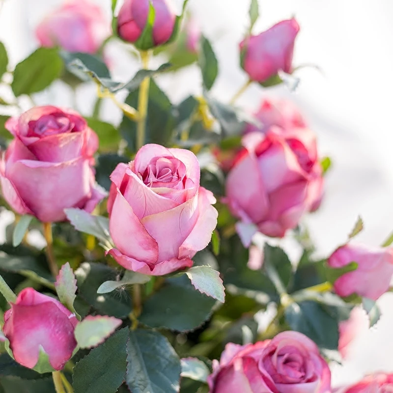 Artificial Flower DIY Party Decoration Silk Rose Wedding Fake Supplies Home Branch | Дом и сад