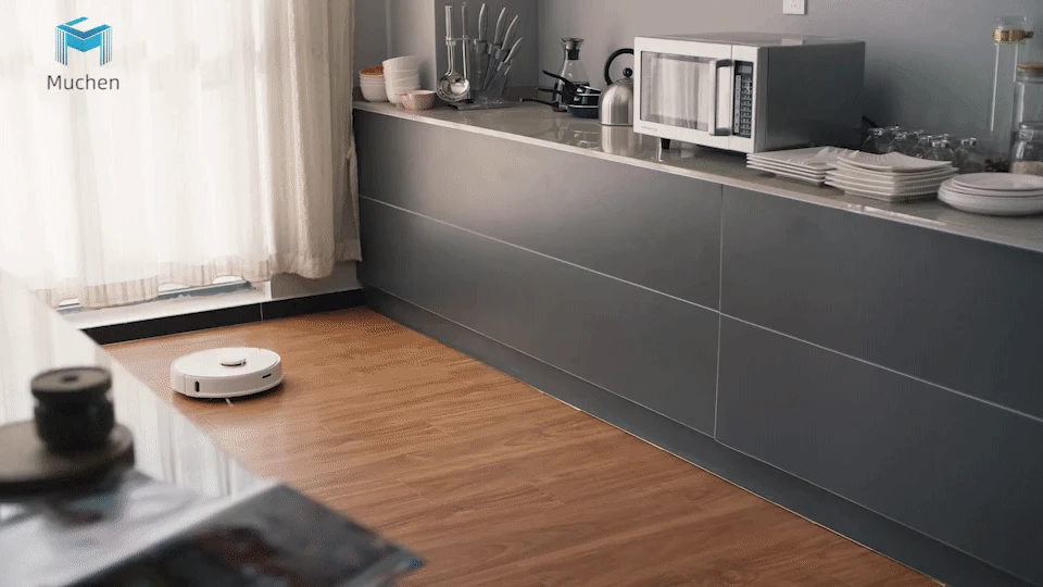 Roborock s50 s55 Xiaomi пылесос 2 для домашнего умного уборки влажной уборки ковра пыли подметания mi робот роботизированное бес