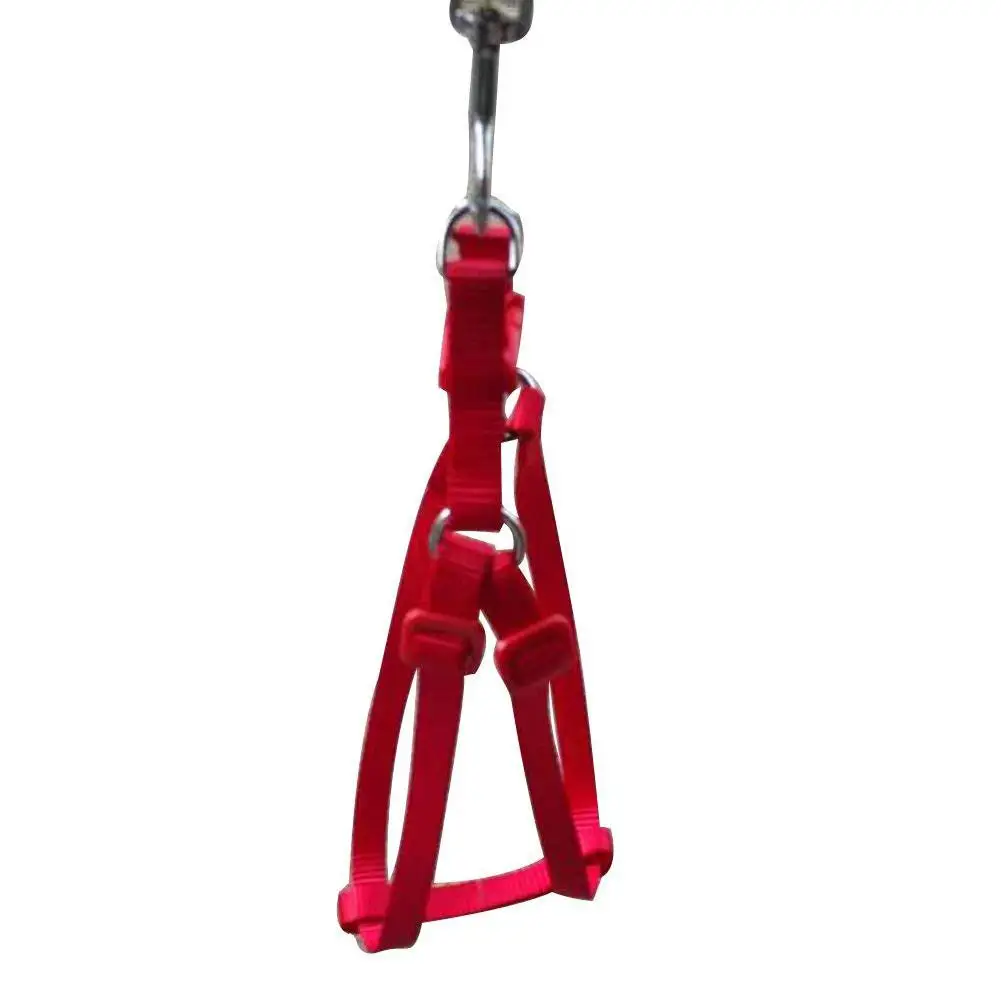 Поводок для поводка попугая поводок домашних животных регулируемая шлейка птицы