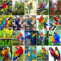parrot diy pictures by number animal paintings by numbers bird drawing adults on canvas handpainted painting kits home decor set