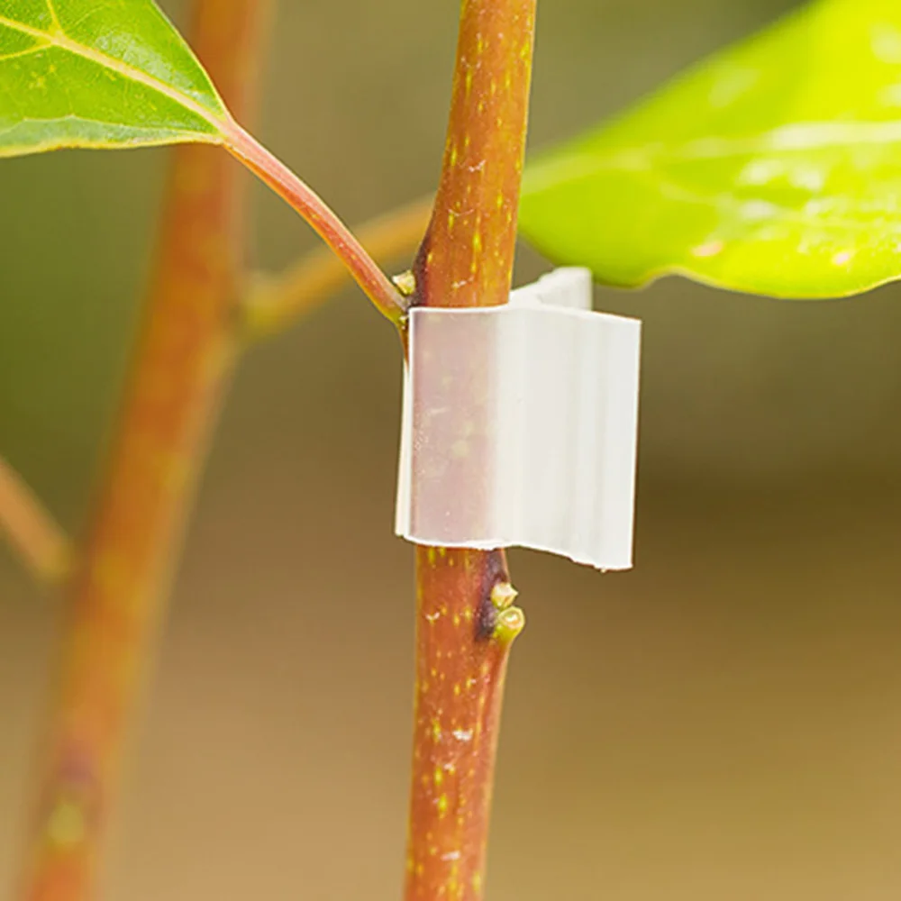 

200pcs 2mm Caliber Plant Grafting Clips Vegetables Tomato Vine Stalks Grow Support Fixing Clips