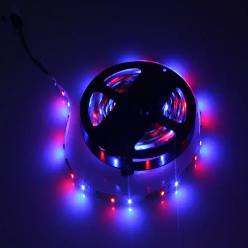 Adeeing 5 м 300 SMD3528 лампа бусины RGB световая полоса + 24 клавишный контроллер 12V3A