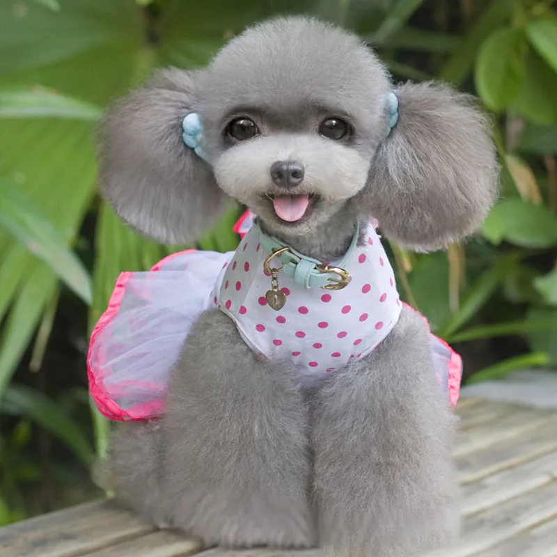 Юбка пузырек с вишневым рисунком одежда для щенка питомца Одежда питомцев милая