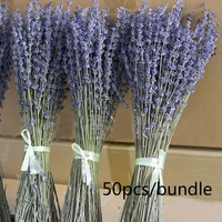50pcsbundle dried natural flower bouquets dried natural lavender flower bouquetlavender flower bunches