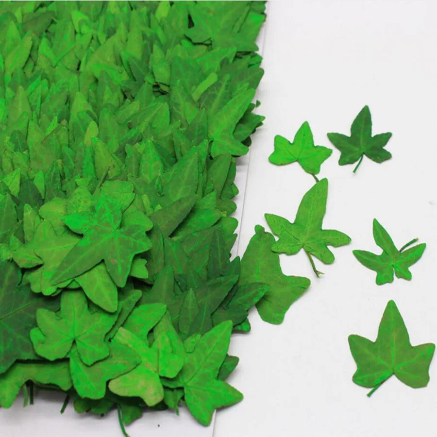 100 шт. с диагональю экрана 3-6 см прессованный высушенный зеленый листьев плюща