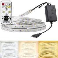 rgb led ribbon ac220v strip light warm white white 3 colors dimmable ip67 waterproof flexible led soft tape lights for room