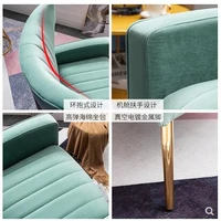 Single sofa Nordic modern lazy chair small family living room bedroom balcony light luxury American tiger chair