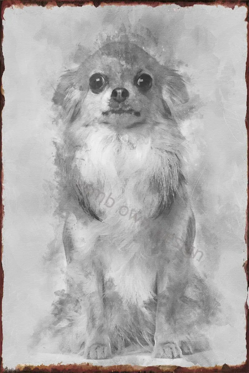 

Настенный декор для чихуахуа 4 года, Ретро винтажный металлический знак, жестяные таблички для творчества, кафе, паба, дома, клуба, мужская пе...