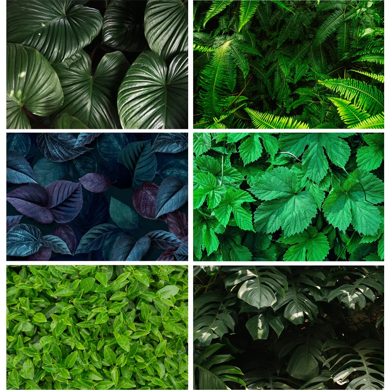 

ZHISUXI Tropical Jung Leaves Nature Scenery Photography Background Landscape Photo Backdrops Studio Props 21728 RDY-01