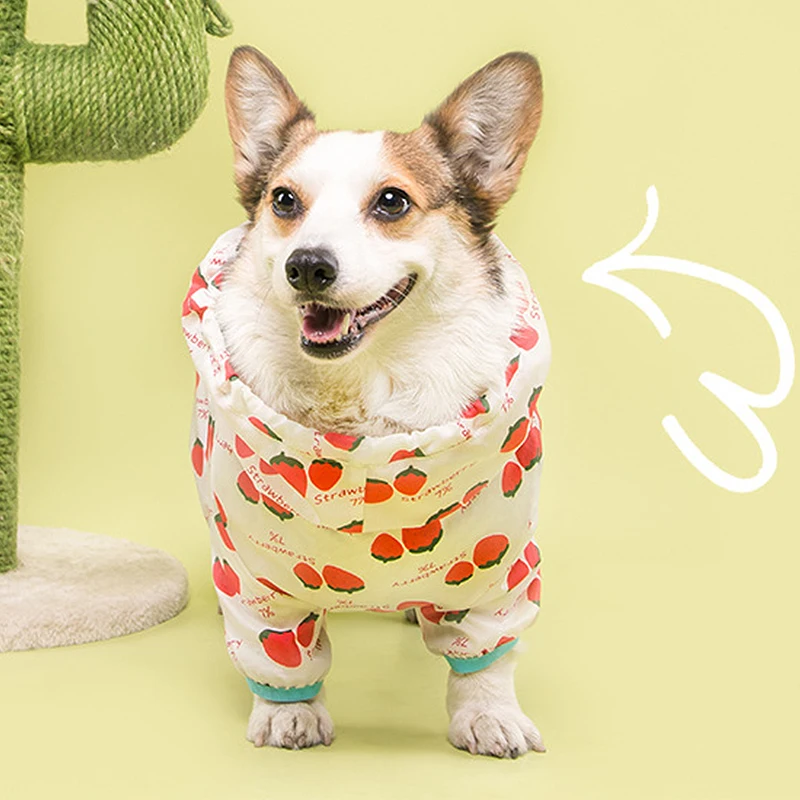 Дождевик с надписью ФБР (L-6XL Водонепроницаемый вельш корги плащ-дождевик