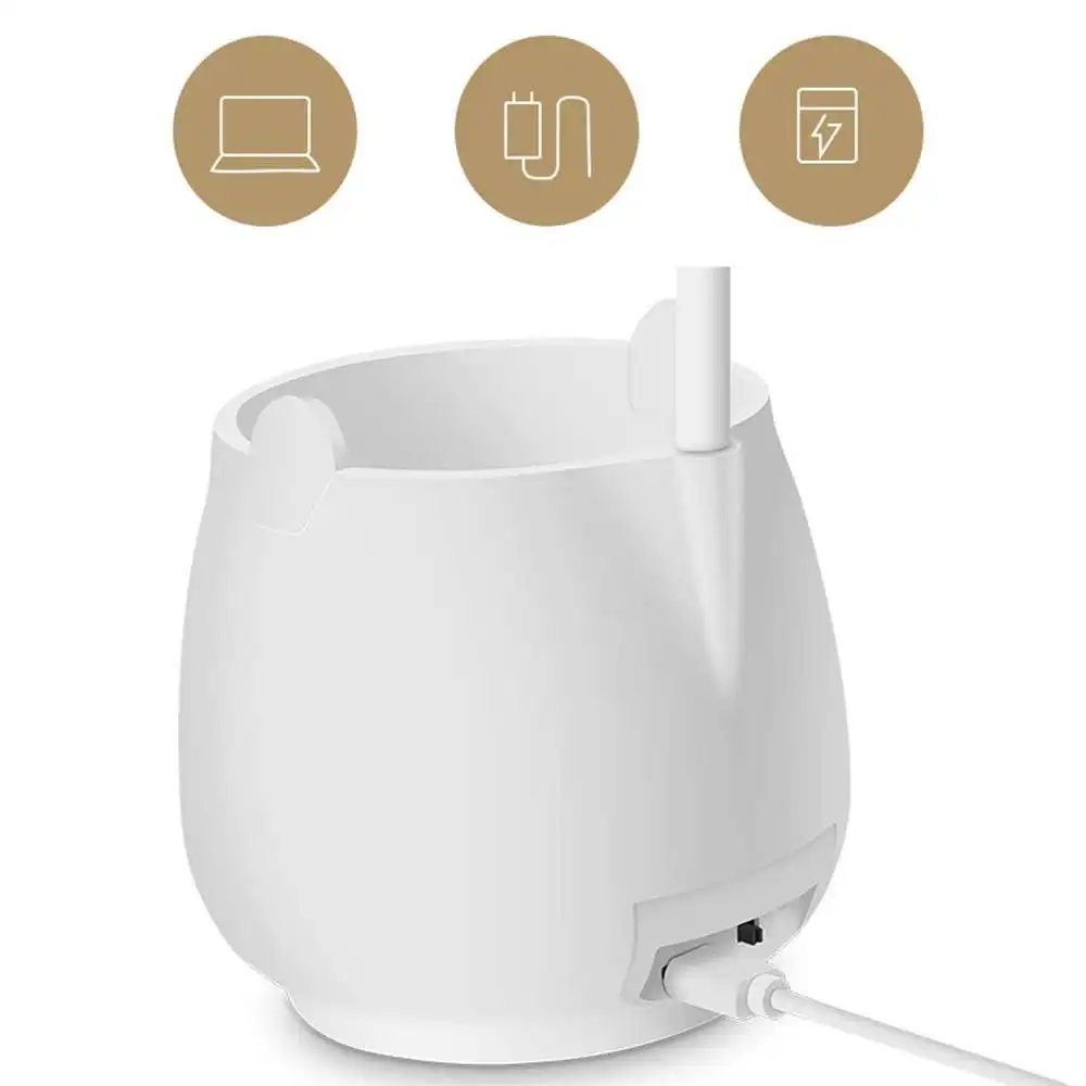 

Pen Holder Storage Multifunctional USB Charging Desk Lamp Flexible Table Study