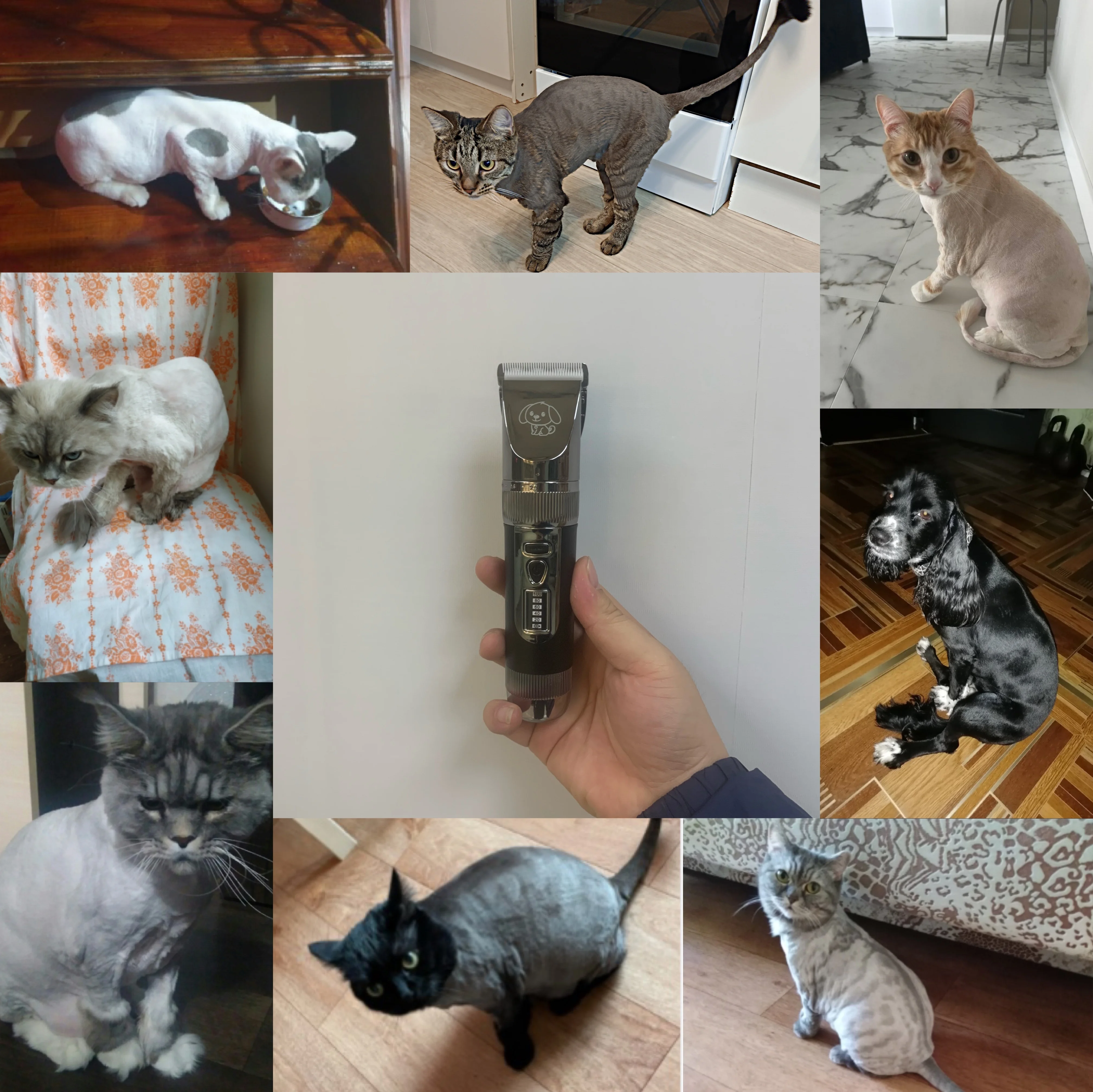 Машинка для стрижки домашних животных набор кошек машинка собак с дисплеем