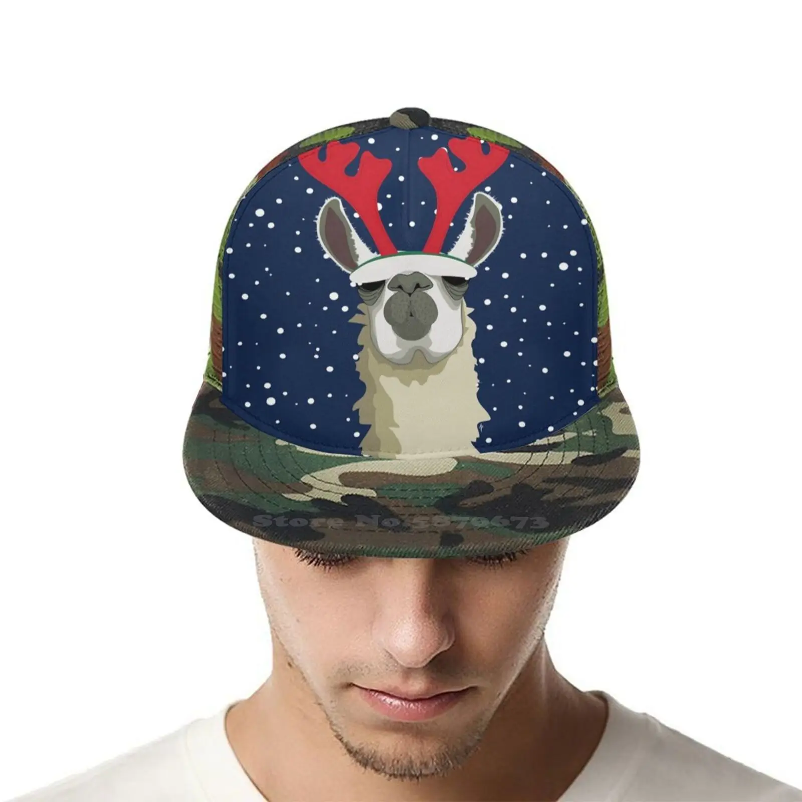 Llet идет снег в стиле хип хоп на плоской подошве шляпа с сеткой Аннет Парри Aparry