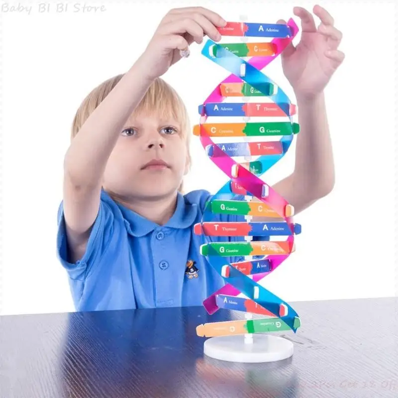 Блок Монтессори Обучающие ресурсы ДНК-конструкция головоломка сенсорный