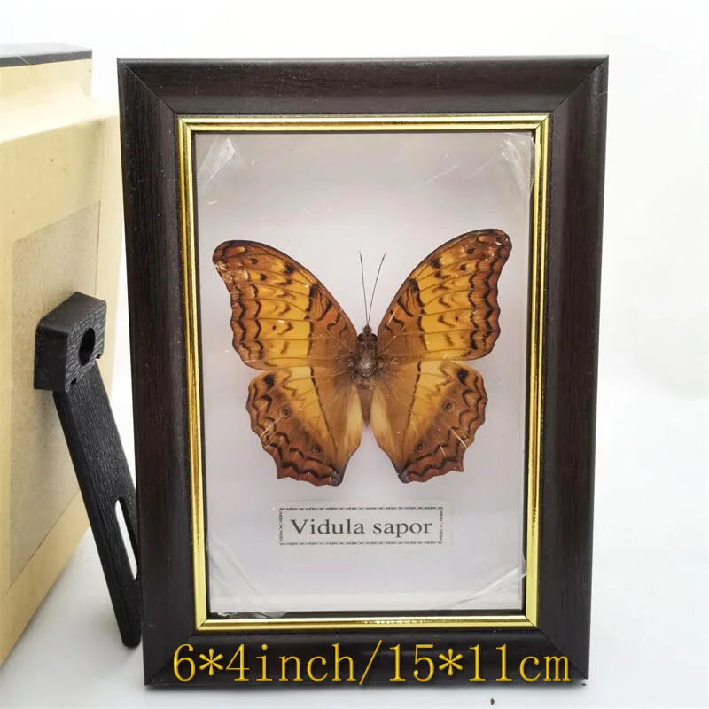 Spread Wings Butterfly Real Specimens Photo Frame Indoor Decoration Home Decorations Insect Sample Figurines Desk Decor | Дом и сад