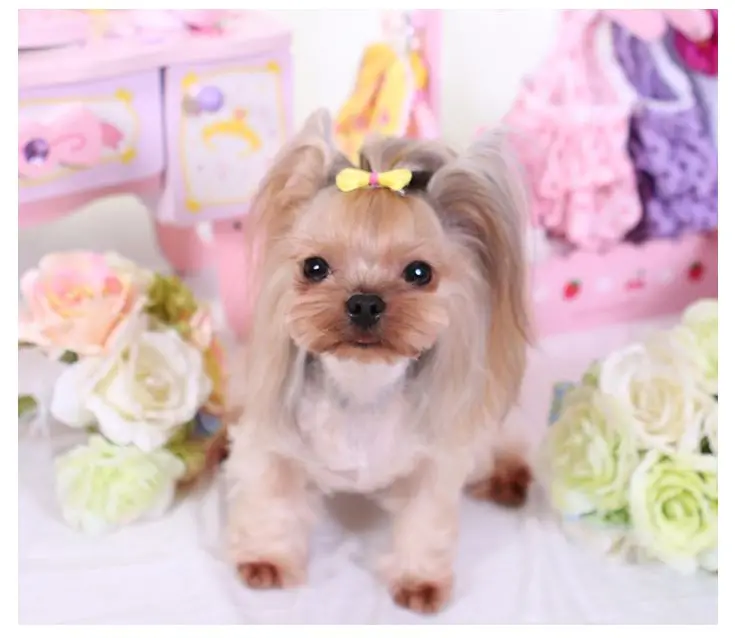 Маленькие банты для собак аксессуары ухода за собакой товары ручной работы