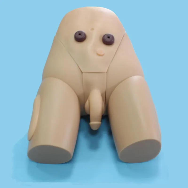 Шиньон уретральный симулятор катетеризации медицинская наука обучения