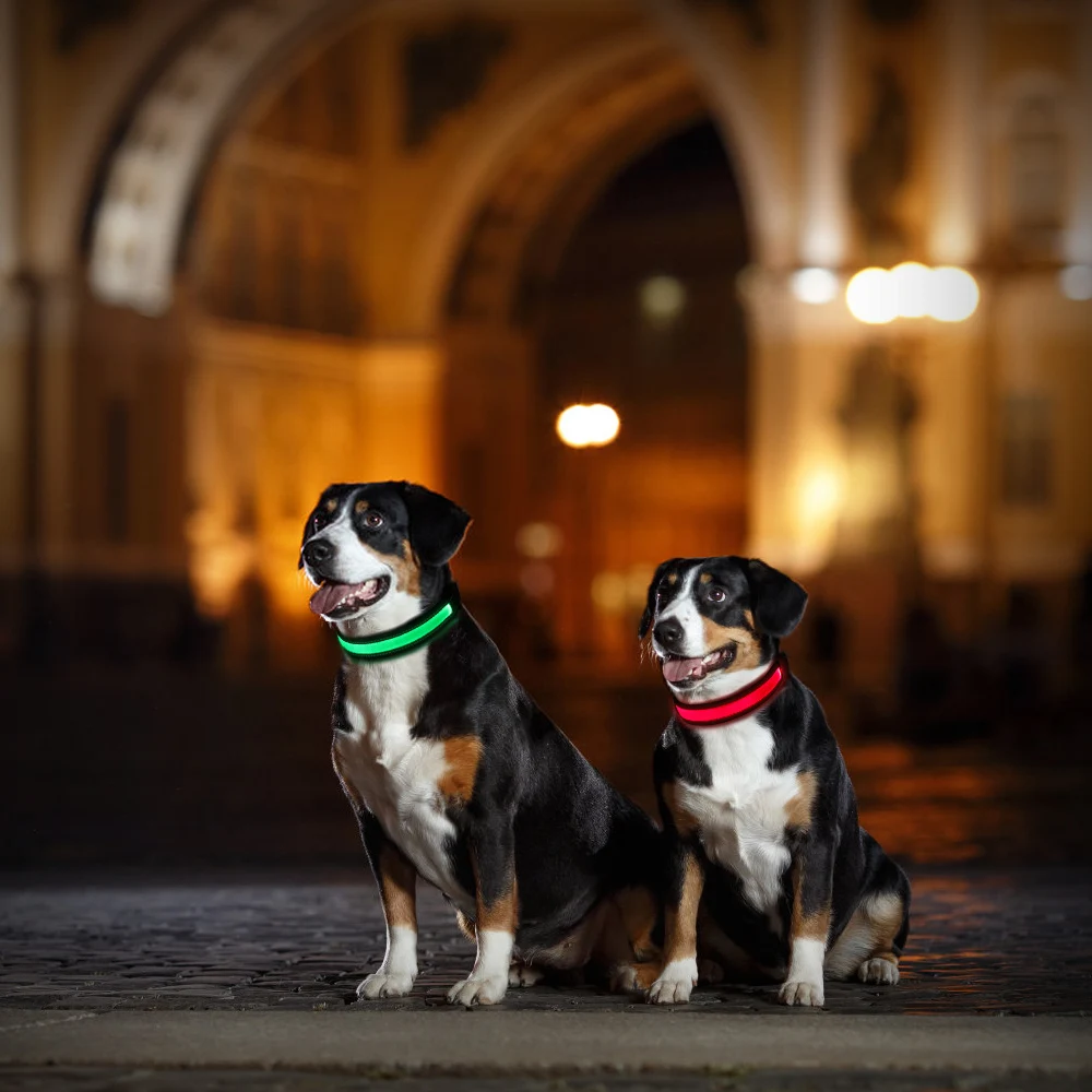 Солнечный и USB Перезаряжаемый светодиодный собачий ошейник нейлоновый