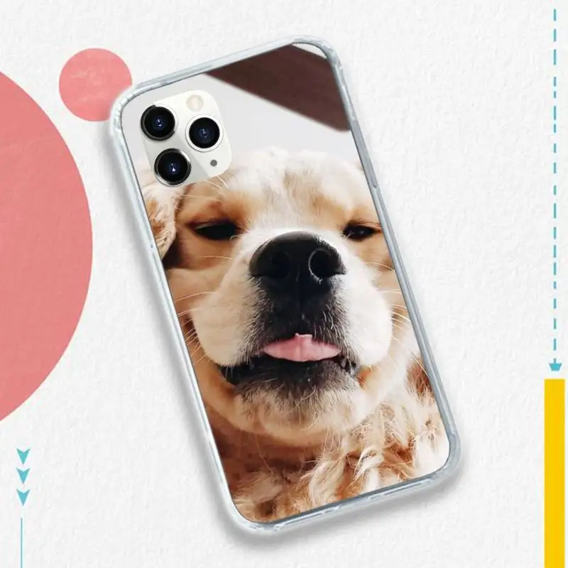 

Funny Golden retriever dog shell Phone Case for iPhone 11 12 pro XS MAX 8 7 6 6S Plus X 5S SE 2020 XR