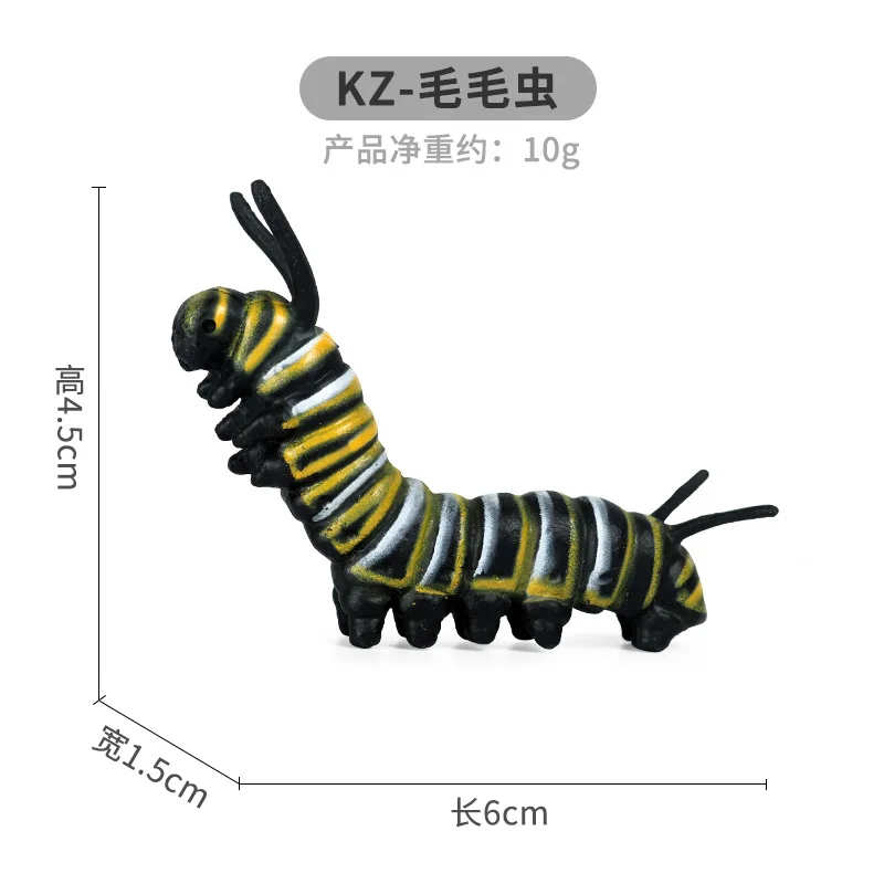 

2021 Simulation Insect Animal ABS Figures Evolution Stage Butterfly Bee Frog Turtle Chickens Growth Cycle Toys for Children Gift