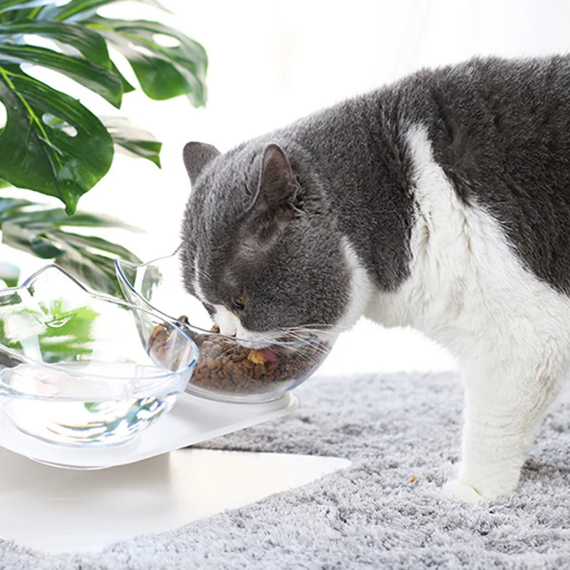 

Hot Sale Cat Double Bowl Cat Bowl Dog Bowl Transparent AS Material Non-slip Food Bowl With Protection Cervical Transparent Cat