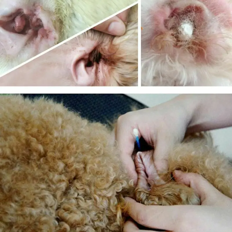 Pet ушной порошок для собак и кошек Ухо Уход за здоровьем легко удалить волос