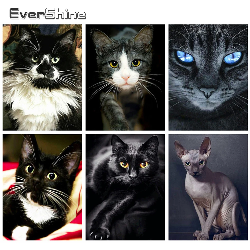 Evershine 5D DIY Алмазная вышивка кошки крестиком полная площадь мозаика животные