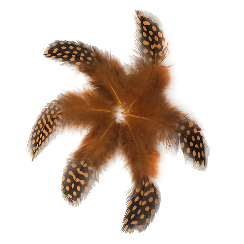 50PCS Beautiful Lots Dyed Guinea Hen Feather Chicken Feathers Craft Decoration Colourful Pheasant Rooster |