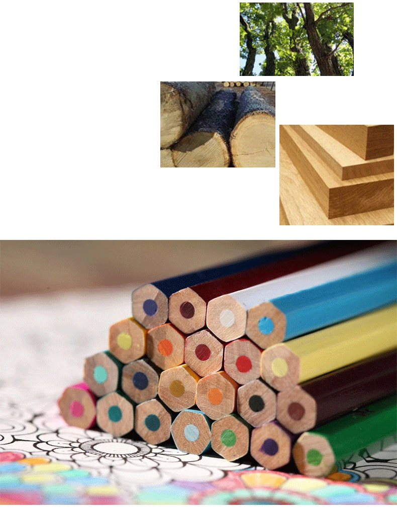 

Giorgione 12 24 36 48 72 120 Color Oily Colored Pencil Set Color Triangle Painting Environmental Protection Thick Rod