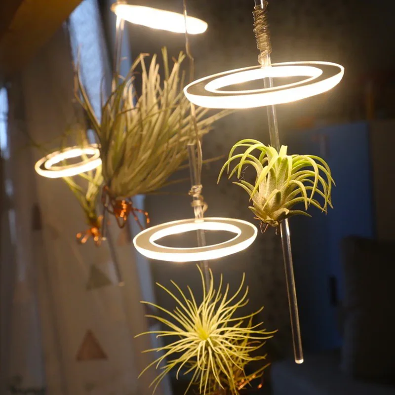 Бытовой рост растений лампа USB порт Ангел кольцо полный спектр солнцеподобных