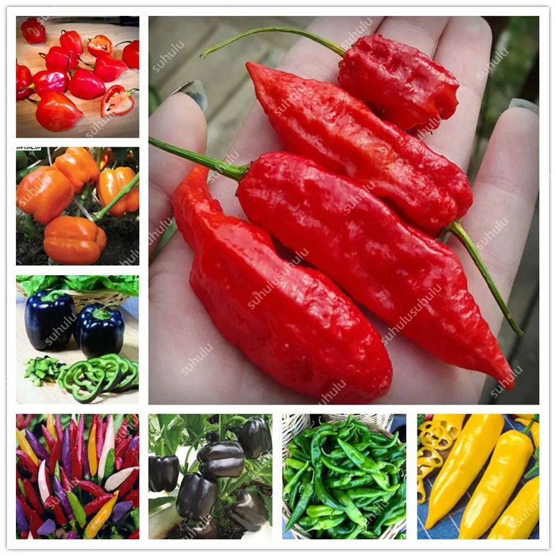 Искусственные цветочные плантаторы (1000 шт сладкий перец) |