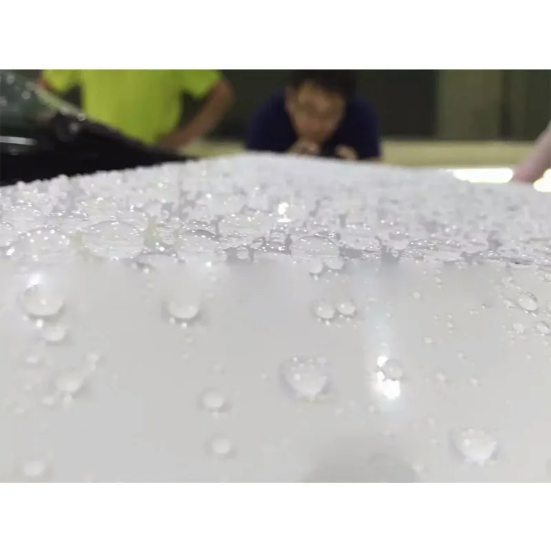 Уход за автомобилем ремонт царапин Премиум карнауба автомобильный кожаный Воск