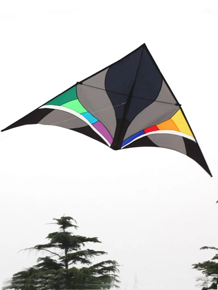 

Professional 300 cm Ripstop Nylon Delta Kite And Power Kites With Flying Tools and Line Good Flying