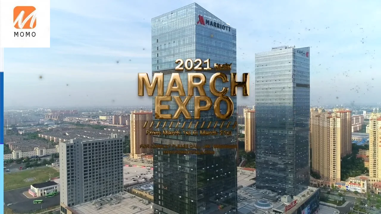 

Physical Therapy Massager Shock Wave Therapy Device MT1203