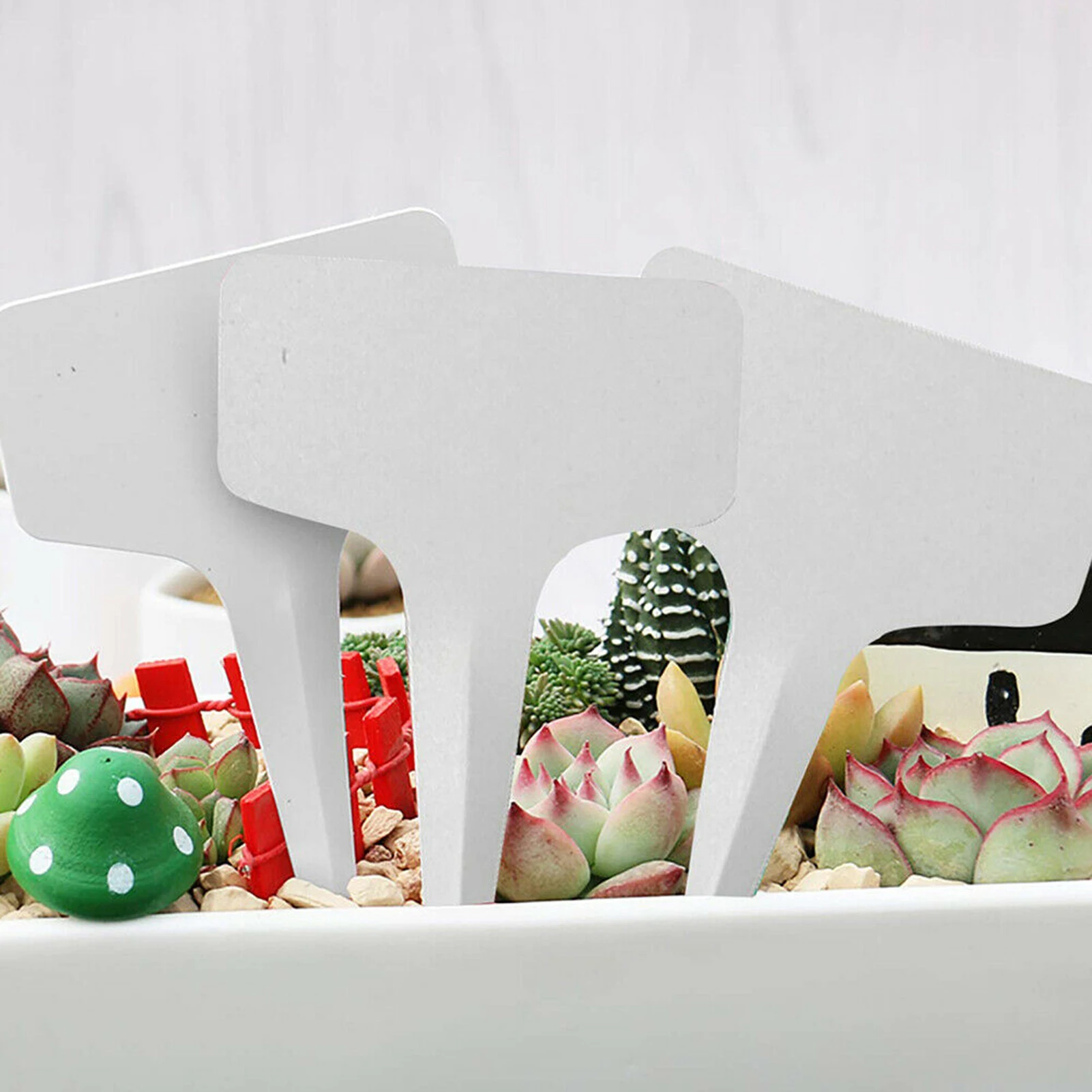 

100/200 шт., Т-образные наклейки для растений, 10 х6 см