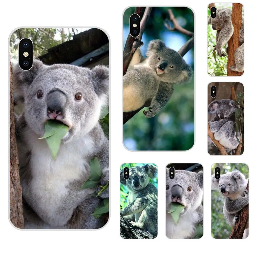 Patterns Koala Bear For Galaxy Grand A3 A5 A7 A8 A9 A9S On5 On7 Plus Pro Star 2015 2016 2017 2018 TPU Phone Cover Case Coque | Мобильные