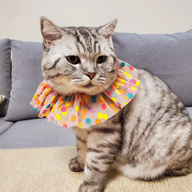 PETCIRCLE одежда с принтом в виде собак красочная пряжа нагрудник подходит маленькая