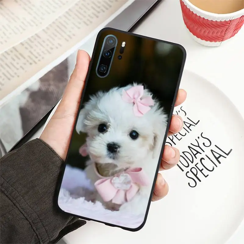 

Cute animal Maltese Dog Puppy Phone Case For Huawei honor Mate P 10 20 30 40 i 9 8 pro x Lite smart 2019 nova 5t