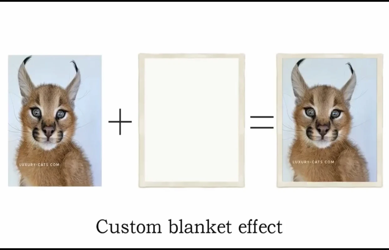 LISM индивидуальное одеяло Шерпа флис мягкое персонализированные DIY Дизайн Ковер